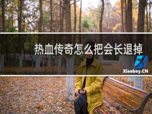 热血传奇怎么把会长退掉