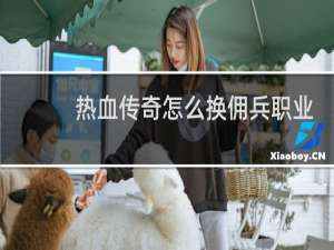 热血传奇怎么换佣兵职业