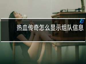 热血传奇怎么显示组队信息