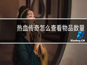 熱血傳奇怎么查看物品數(shù)量