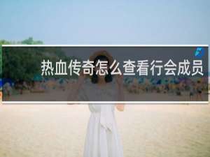 热血传奇怎么查看行会成员
