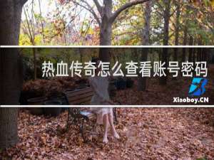 热血传奇怎么查看账号密码