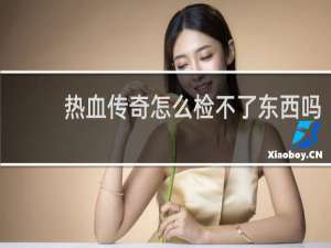 热血传奇怎么检不了东西吗