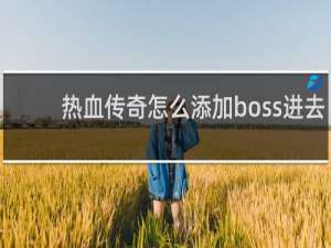 热血传奇怎么添加boss进去