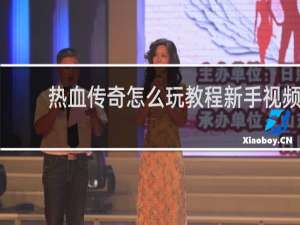 热血传奇怎么玩教程新手视频