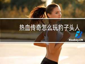 热血传奇怎么玩豹子头人