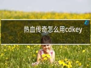 热血传奇怎么用cdkey