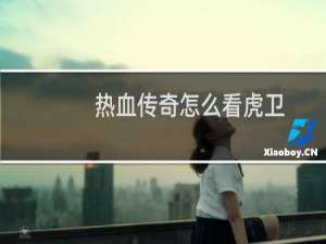 热血传奇怎么看虎卫