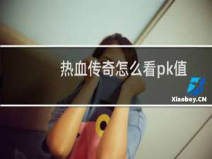 热血传奇怎么看pk值