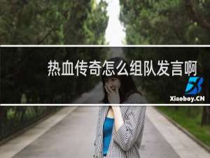 热血传奇怎么组队发言啊