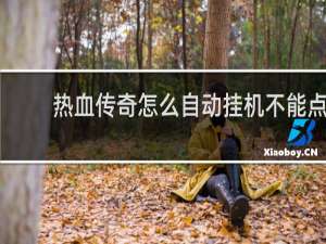热血传奇怎么自动挂机不能点