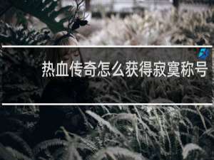 热血传奇怎么获得寂寞称号