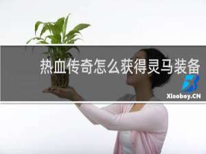 热血传奇怎么获得灵马装备