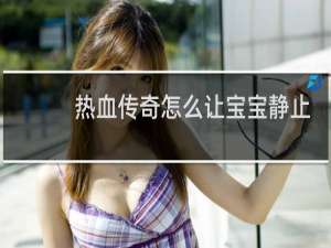 热血传奇怎么让宝宝静止