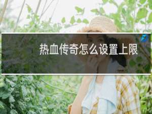 热血传奇怎么设置上限
