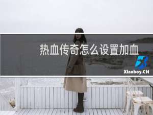 热血传奇怎么设置加血