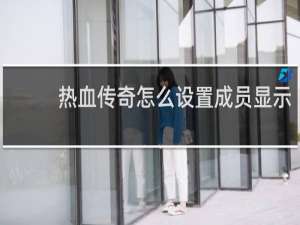 热血传奇怎么设置成员显示