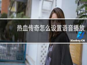 熱血傳奇怎么設置語音播放