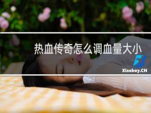 热血传奇怎么调血量大小