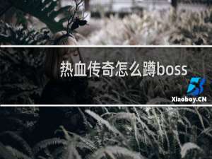 热血传奇怎么蹲boss