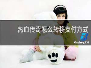 热血传奇怎么转移支付方式