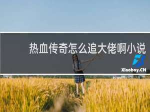 热血传奇怎么追大佬啊小说