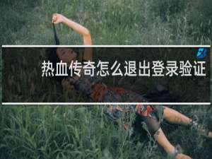热血传奇怎么退出登录验证