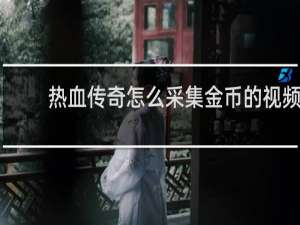 热血传奇怎么采集金币的视频
