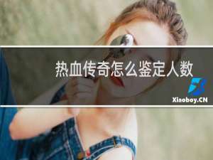 热血传奇怎么鉴定人数