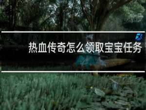 热血传奇怎么领取宝宝任务