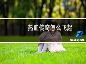 热血传奇怎么飞起