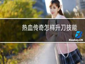 热血传奇怎样升刀技能