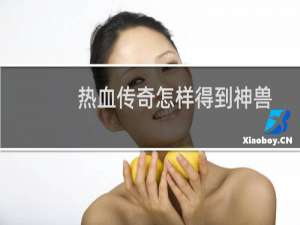 热血传奇怎样得到神兽