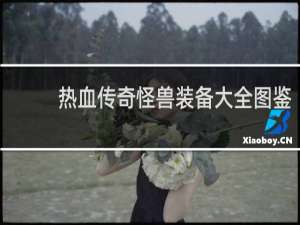 热血传奇怪兽装备大全图鉴