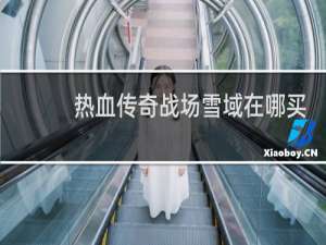 热血传奇战场雪域在哪买