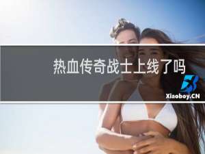 热血传奇战士上线了吗