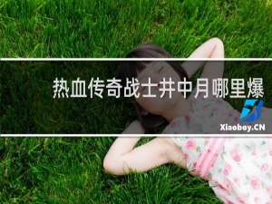 热血传奇战士井中月哪里爆