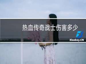 热血传奇战士伤害多少