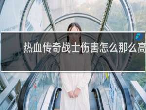 热血传奇战士伤害怎么那么高