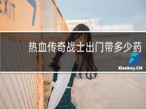 热血传奇战士出门带多少药