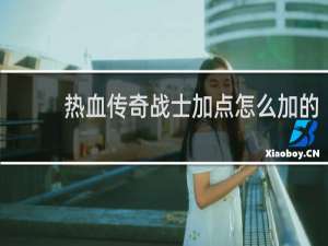 热血传奇战士加点怎么加的