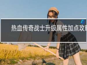 热血传奇战士升级属性加点攻略