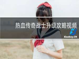 热血传奇战士升级攻略视频