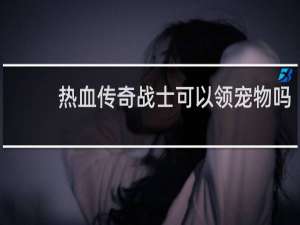 热血传奇战士可以领宠物吗