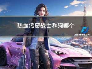 热血传奇战士和狗哪个厉害
