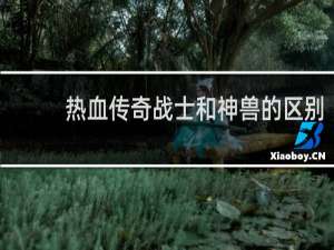 热血传奇战士和神兽的区别