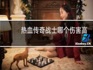 热血传奇战士哪个伤害高