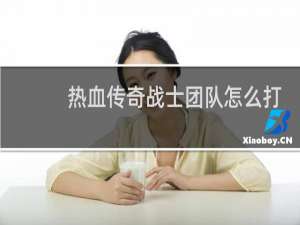 热血传奇战士团队怎么打
