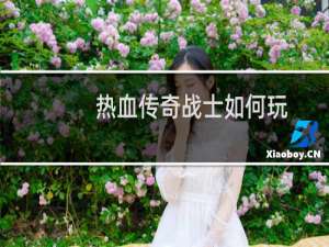 热血传奇战士如何玩