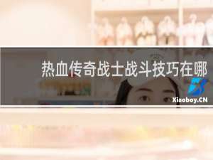 热血传奇战士战斗技巧在哪